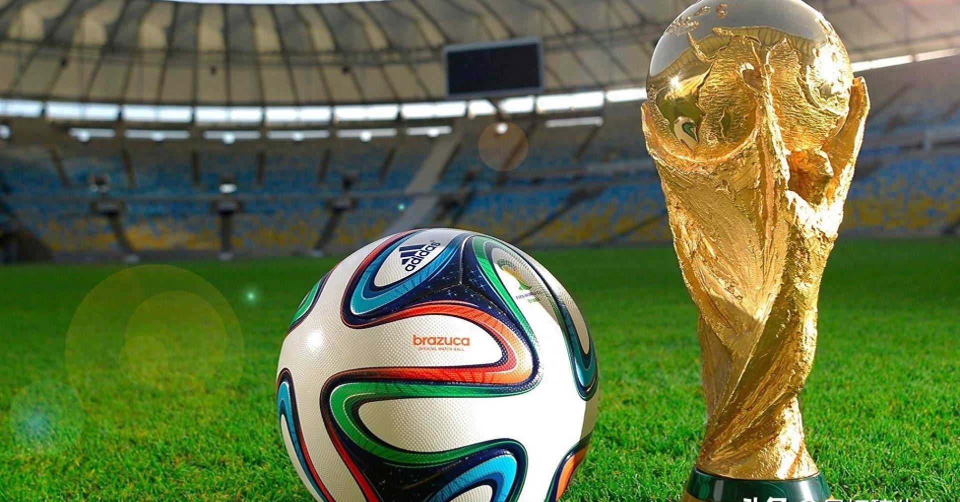 他们在短短 他们在短短