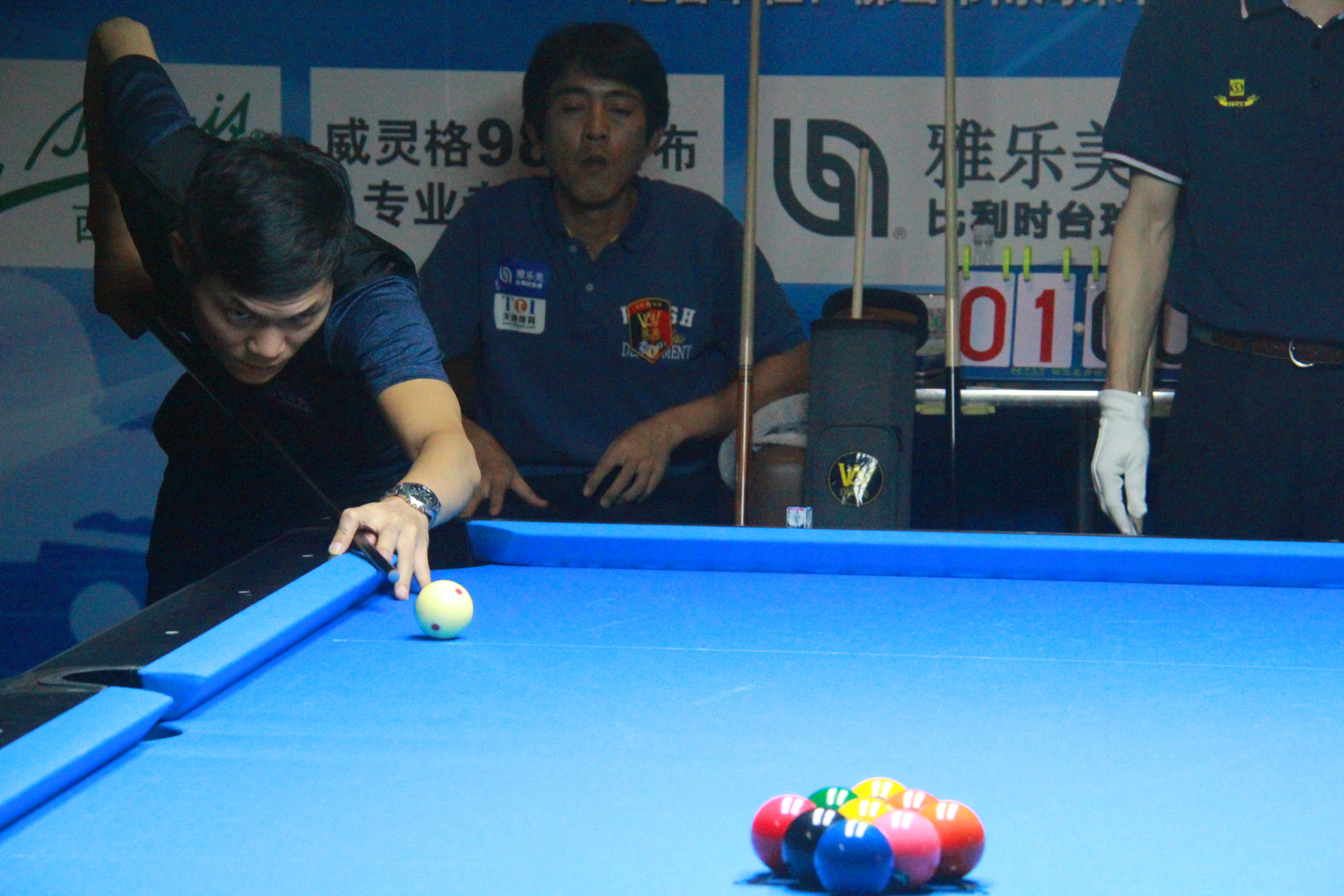 花的球迷 花的球迷